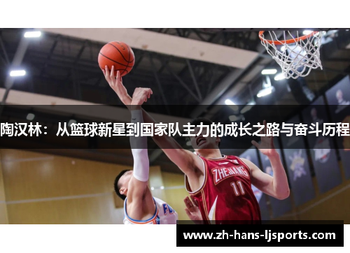陶汉林:从篮球新星到国家队主力的成长之路与奋斗历程